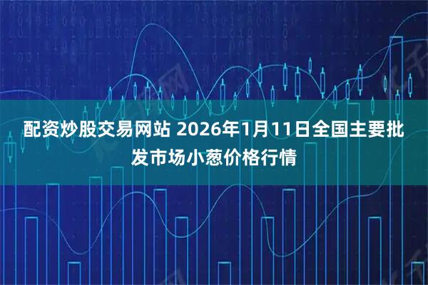 配资炒股交易网站 2026年1月11日全国主要批发市场小葱价格行情